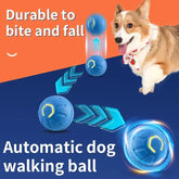 Smart Electronic Dog & Cat Toy Ball – USB Rechargeable Interactive Toy